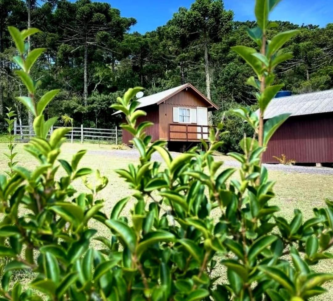 Encanto Das Araucarias Cambará Εξωτερικό φωτογραφία